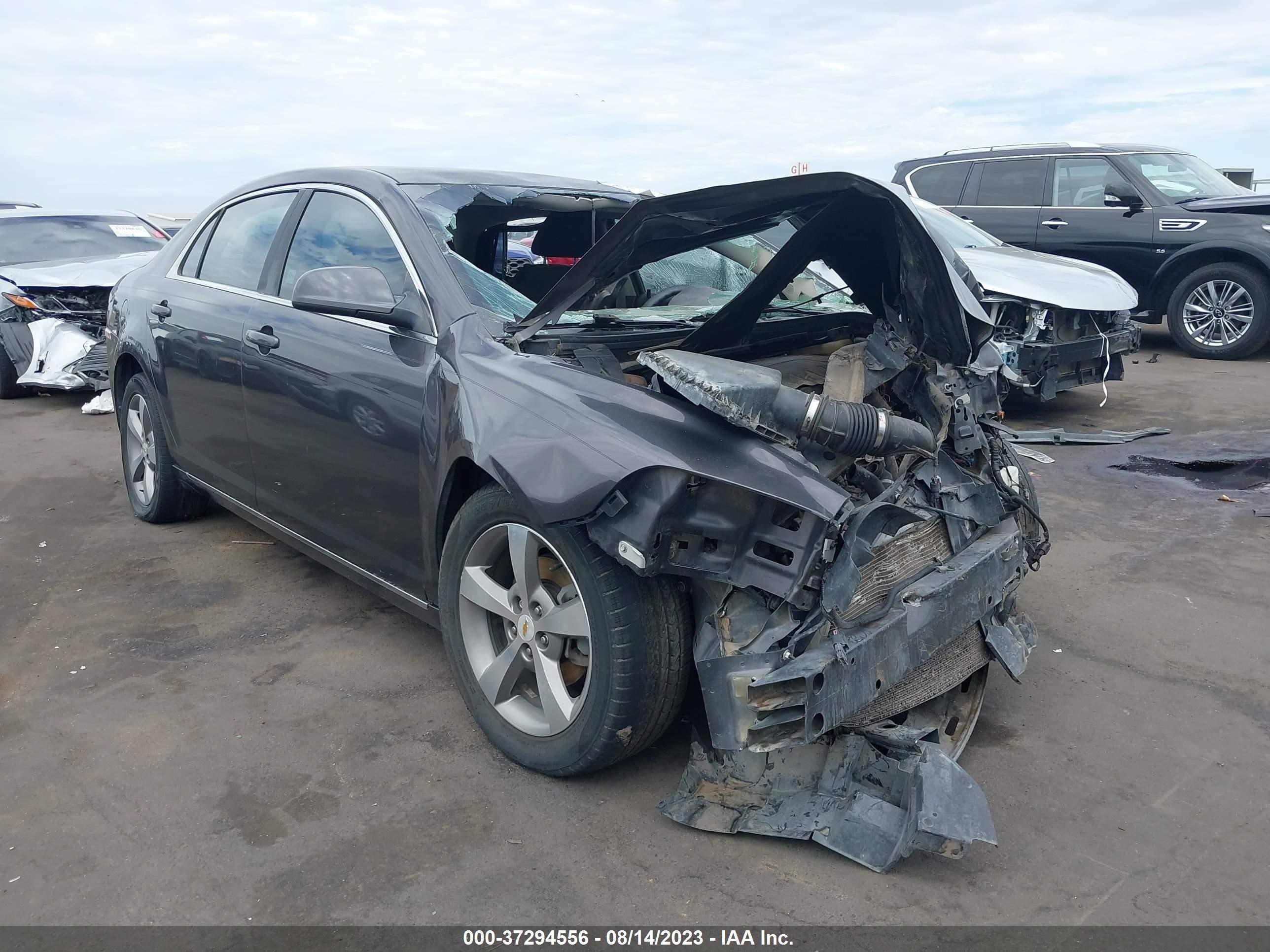 CHEVROLET MALIBU 2011 1g1zc5e13bf334674