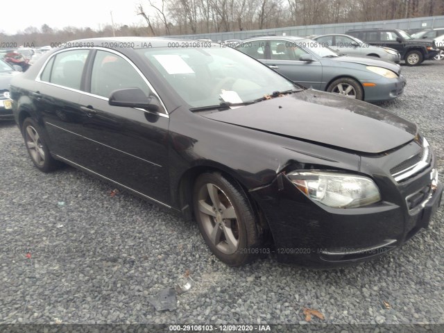 CHEVROLET MALIBU 2011 1g1zc5e13bf350504