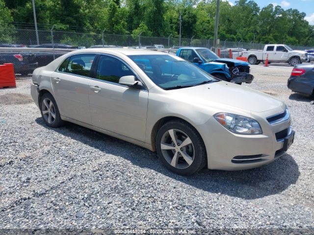 CHEVROLET MALIBU LT1 2011 1g1zc5e14be375000