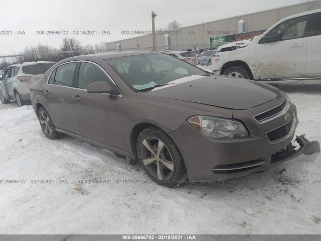 CHEVROLET MALIBU 2011 1g1zc5e14bf141224