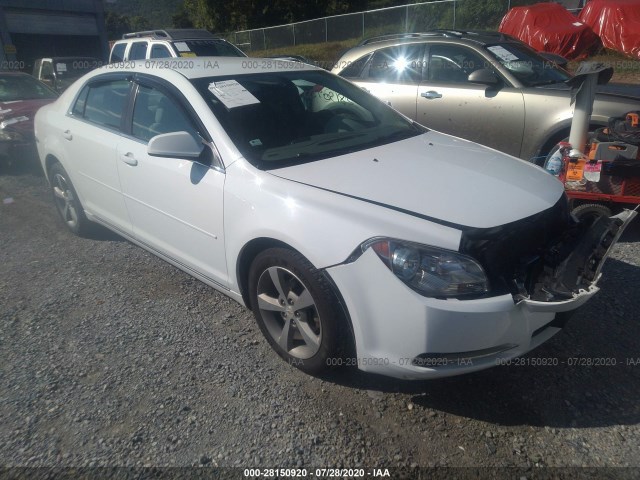 CHEVROLET MALIBU 2011 1g1zc5e14bf185644