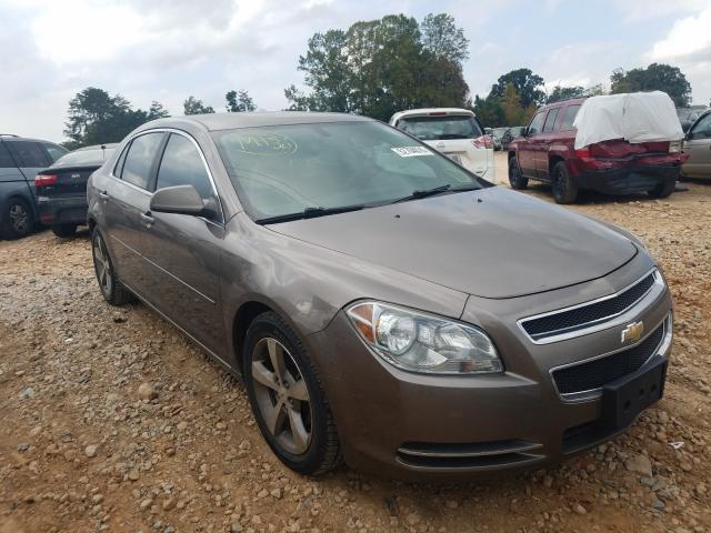 CHEVROLET MALIBU 1LT 2011 1g1zc5e14bf190536