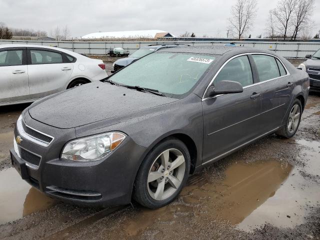 CHEVROLET MALIBU 1LT 2011 1g1zc5e14bf191721