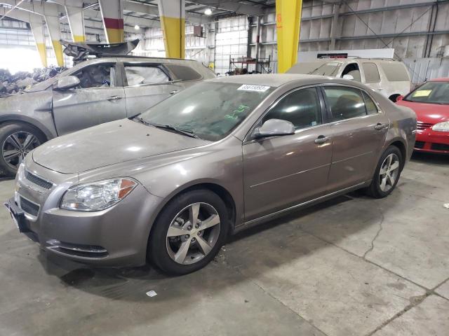 CHEVROLET MALIBU 2011 1g1zc5e14bf213040