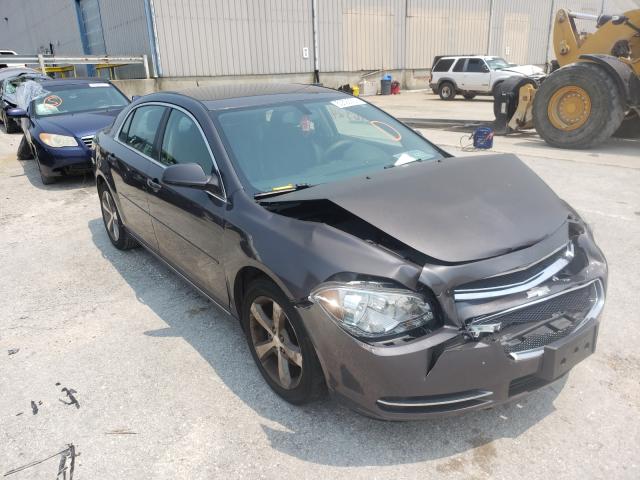 CHEVROLET MALIBU 1LT 2011 1g1zc5e14bf218223