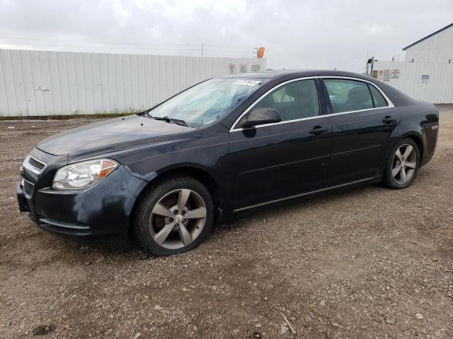 CHEVROLET MALIBU 1LT 2011 1g1zc5e14bf241789