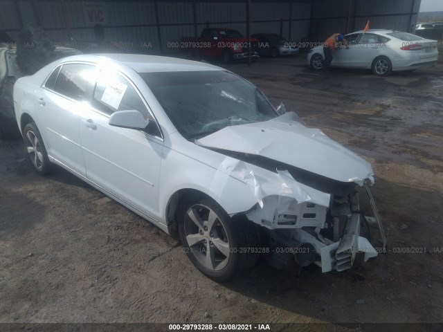 CHEVROLET MALIBU 2011 1g1zc5e14bf282990