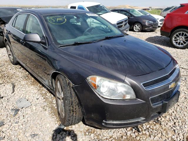 CHEVROLET MALIBU 1LT 2011 1g1zc5e14bf298980