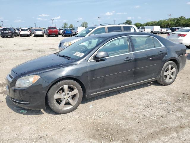 CHEVROLET MALIBU 2011 1g1zc5e14bf301070