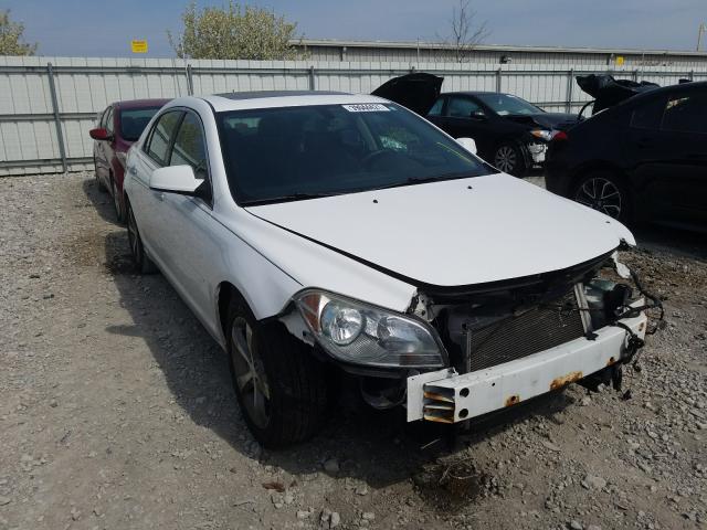 CHEVROLET MALIBU 1LT 2011 1g1zc5e14bf311615