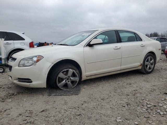 CHEVROLET MALIBU 1LT 2011 1g1zc5e14bf323568