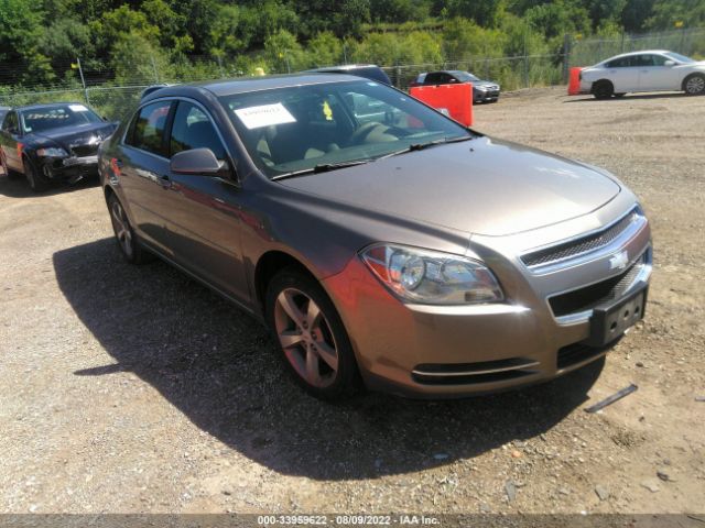 CHEVROLET MALIBU 2011 1g1zc5e14bf330195