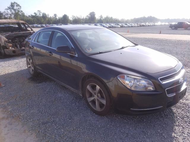 CHEVROLET MALIBU 1LT 2011 1g1zc5e14bf363200