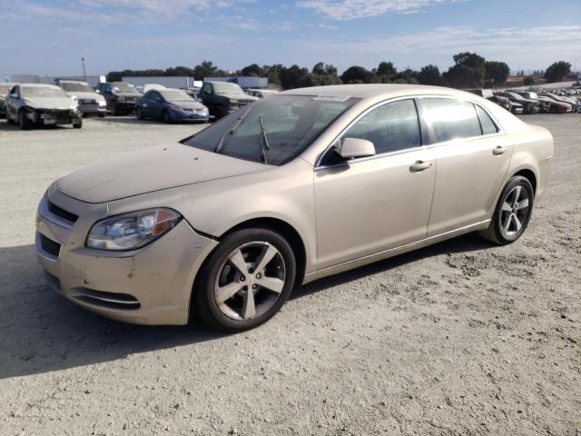 CHEVROLET MALIBU 1LT 2011 1g1zc5e14bf382555