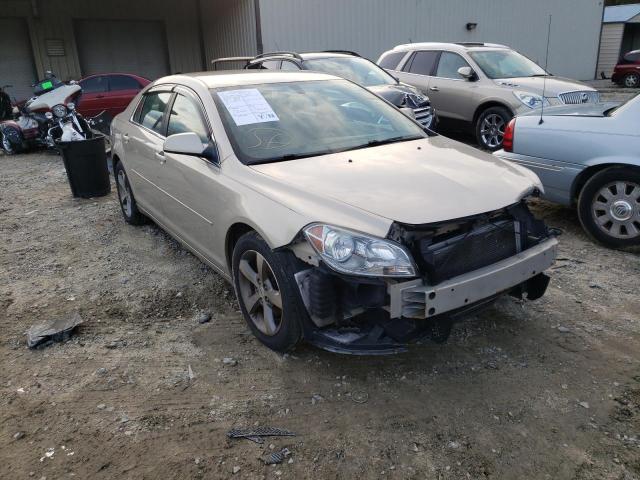 CHEVROLET MALIBU 1LT 2011 1g1zc5e15bf113688