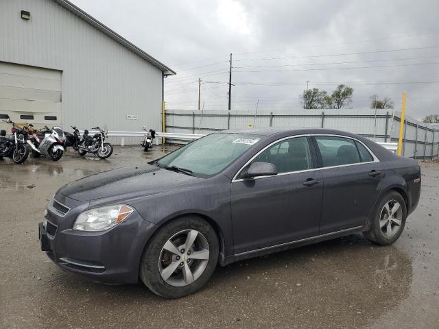 CHEVROLET MALIBU 2011 1g1zc5e15bf145704