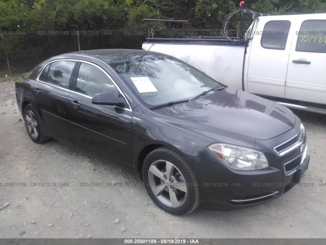 CHEVROLET MALIBU 2011 1g1zc5e15bf155861