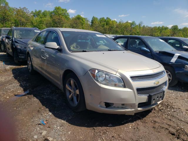 CHEVROLET MALIBU 1LT 2011 1g1zc5e15bf186544