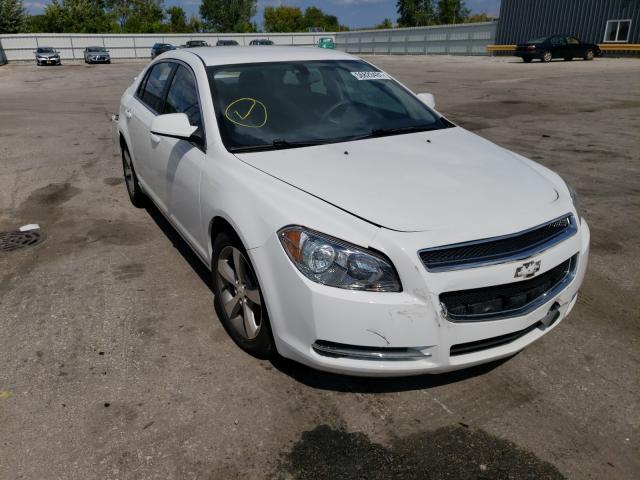 CHEVROLET MALIBU 1LT 2011 1g1zc5e15bf206503