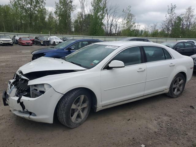 CHEVROLET MALIBU 2011 1g1zc5e15bf219980