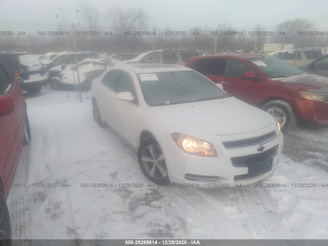 CHEVROLET MALIBU 2011 1g1zc5e15bf278091