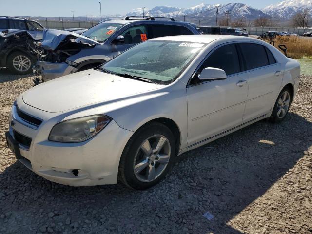 CHEVROLET MALIBU 2011 1g1zc5e15bf297062