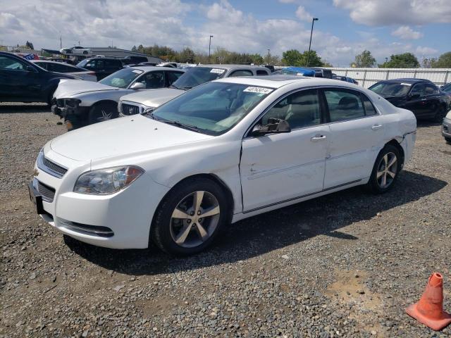 CHEVROLET MALIBU 2011 1g1zc5e15bf298471