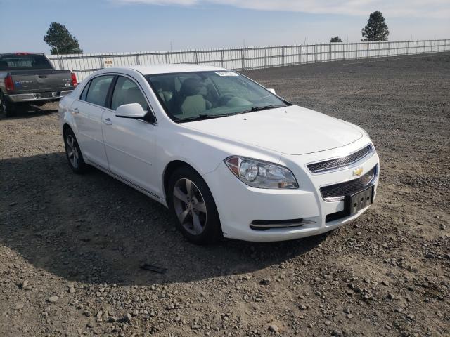 CHEVROLET MALIBU 1LT 2011 1g1zc5e15bf322056