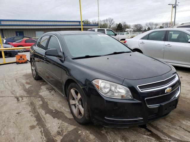 CHEVROLET MALIBU 1LT 2011 1g1zc5e15bf331596