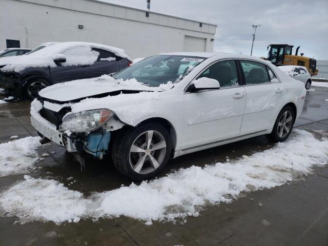 CHEVROLET MALIBU 2011 1g1zc5e15bf351301