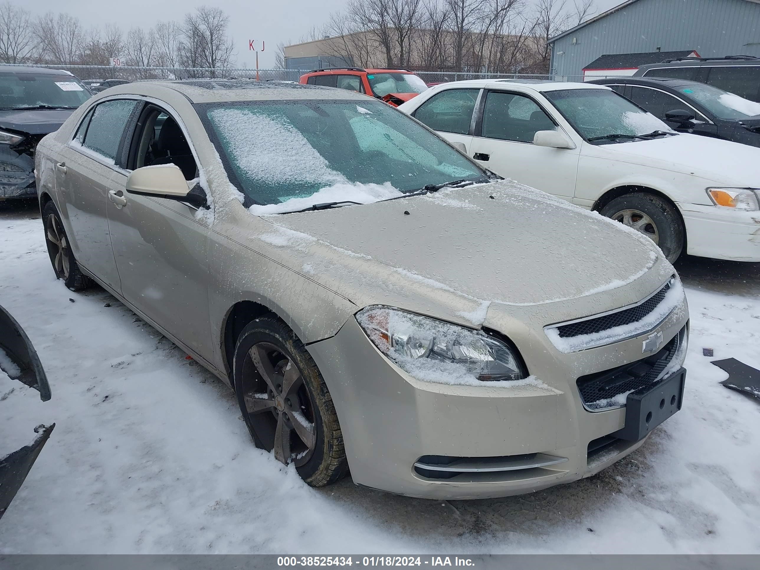 CHEVROLET MALIBU 2011 1g1zc5e15bf362136