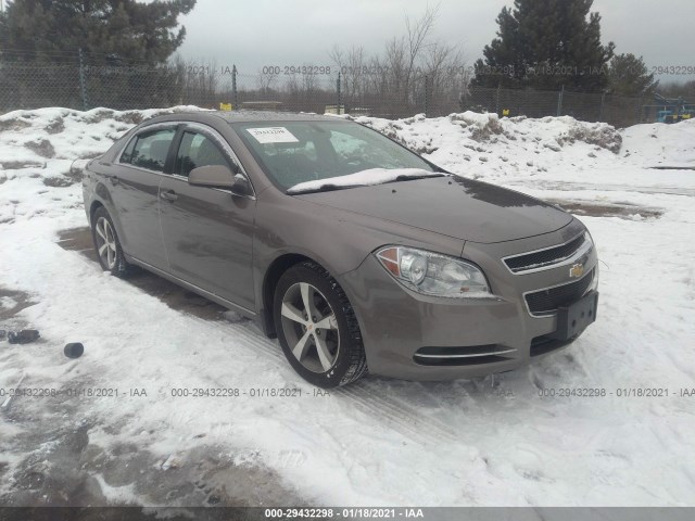 CHEVROLET MALIBU 2011 1g1zc5e15bf363982