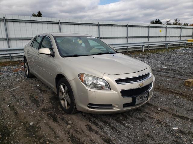 CHEVROLET MALIBU 1LT 2011 1g1zc5e16bf131066