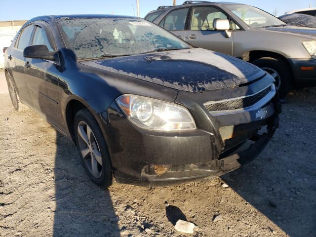 CHEVROLET MALIBU 1LT 2011 1g1zc5e16bf136882