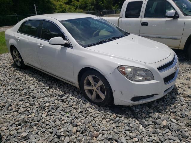 CHEVROLET MALIBU 1LT 2011 1g1zc5e16bf137241