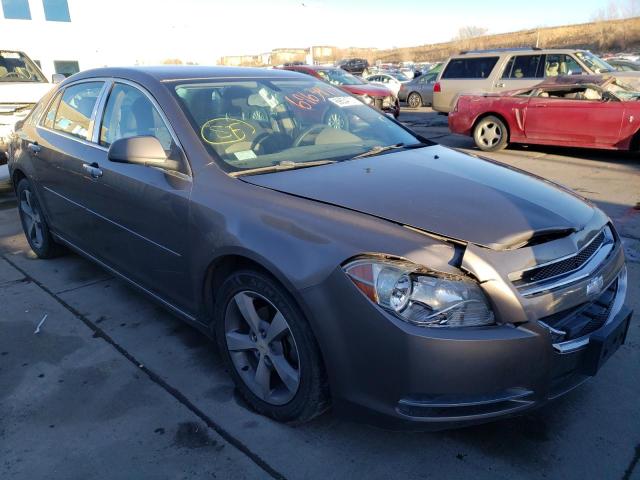 CHEVROLET MALIBU 1LT 2011 1g1zc5e16bf141905