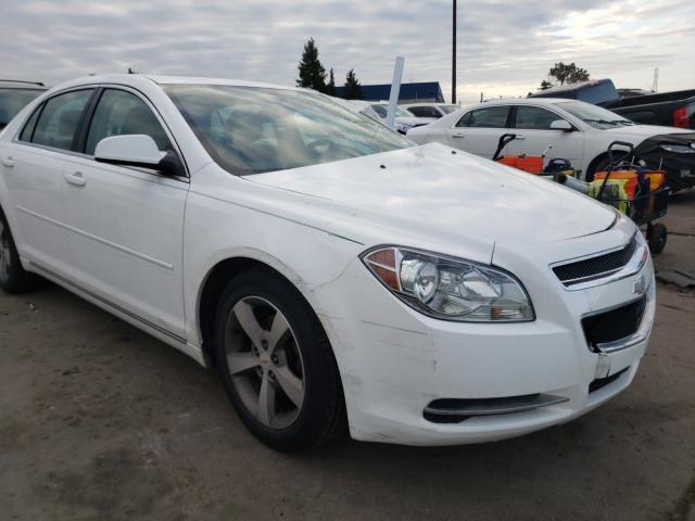 CHEVROLET MALIBU 1LT 2011 1g1zc5e16bf210446