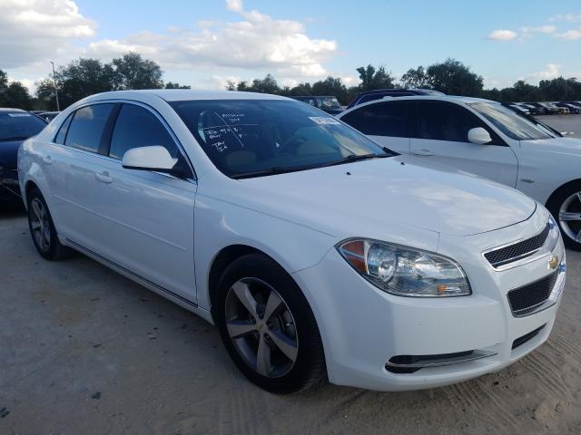 CHEVROLET MALIBU 1LT 2011 1g1zc5e16bf215646