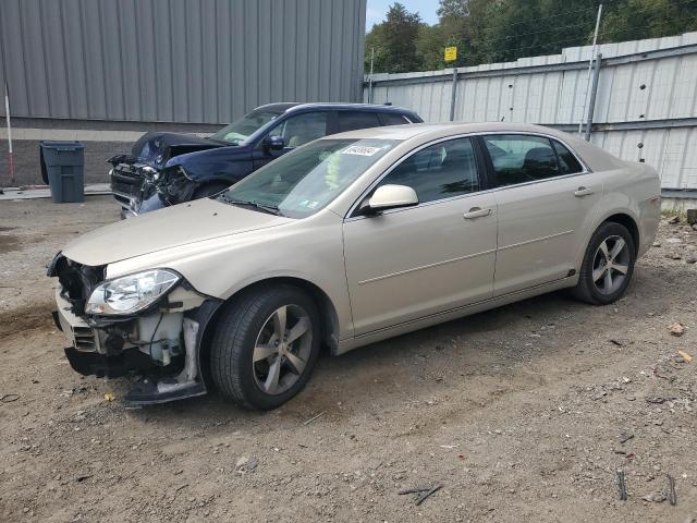 CHEVROLET MALIBU 1LT 2011 1g1zc5e16bf217722