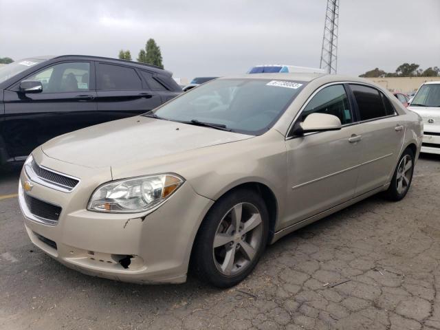 CHEVROLET MALIBU 1LT 2011 1g1zc5e16bf240658