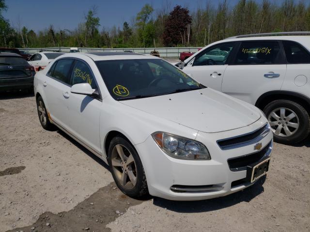 CHEVROLET MALIBU 1LT 2011 1g1zc5e16bf257217