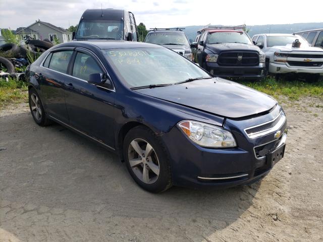 CHEVROLET MALIBU 1LT 2011 1g1zc5e16bf270775