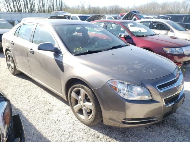 CHEVROLET MALIBU 1LT 2011 1g1zc5e16bf281730