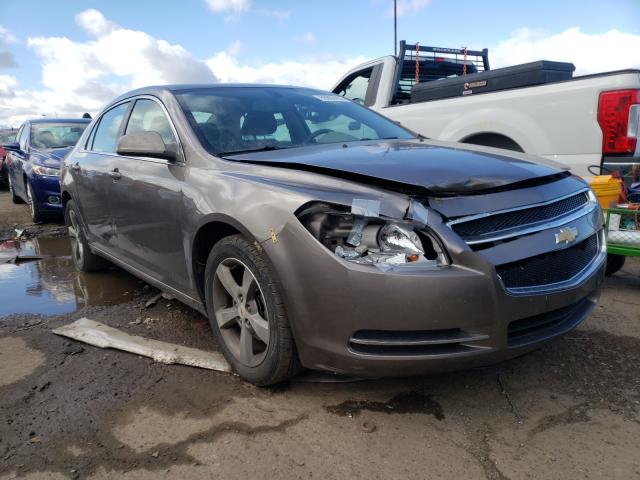 CHEVROLET MALIBU 1LT 2011 1g1zc5e16bf284157