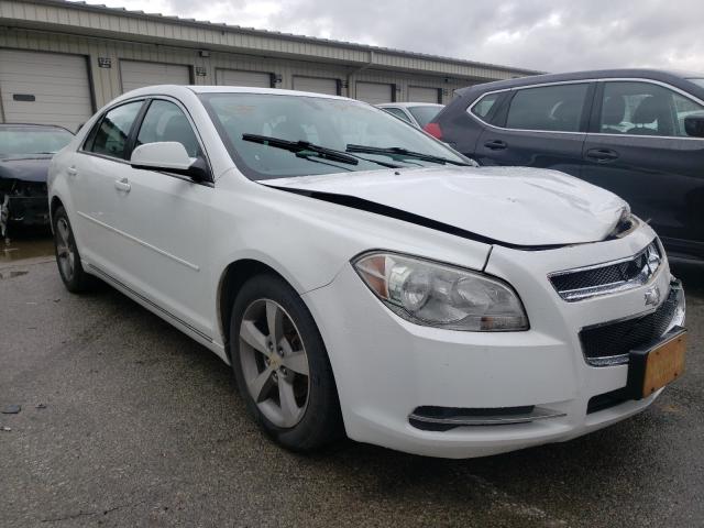 CHEVROLET MALIBU 1LT 2011 1g1zc5e16bf287320