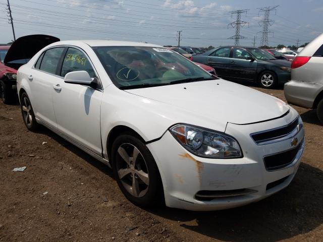 CHEVROLET MALIBU 1LT 2011 1g1zc5e16bf295613