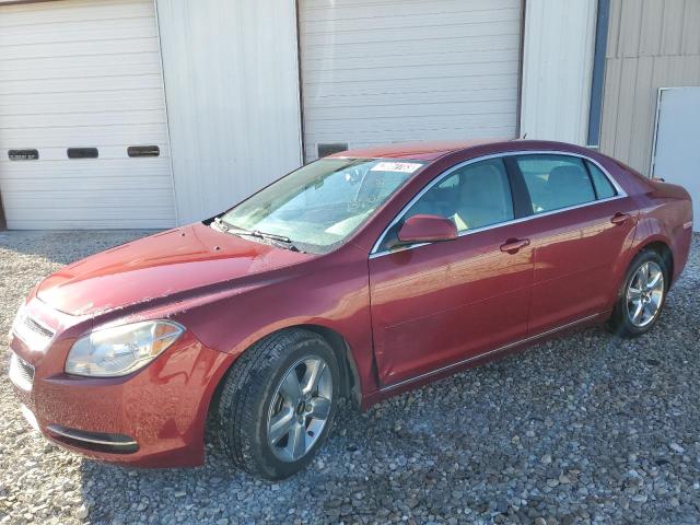 CHEVROLET MALIBU 2011 1g1zc5e16bf303502