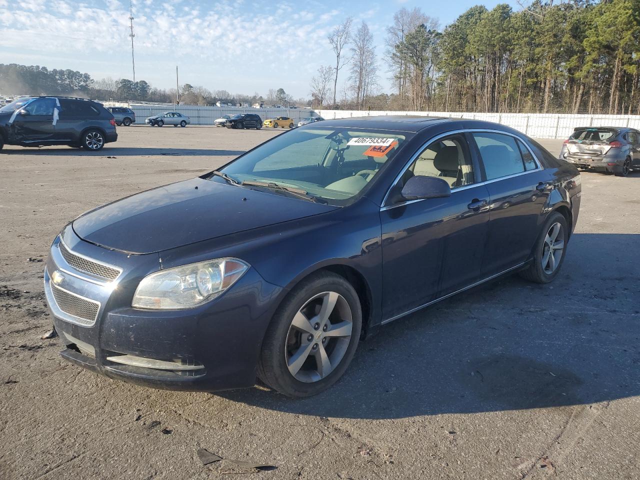 CHEVROLET MALIBU 2011 1g1zc5e16bf308814