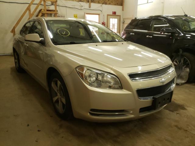 CHEVROLET MALIBU 1LT 2011 1g1zc5e16bf350559