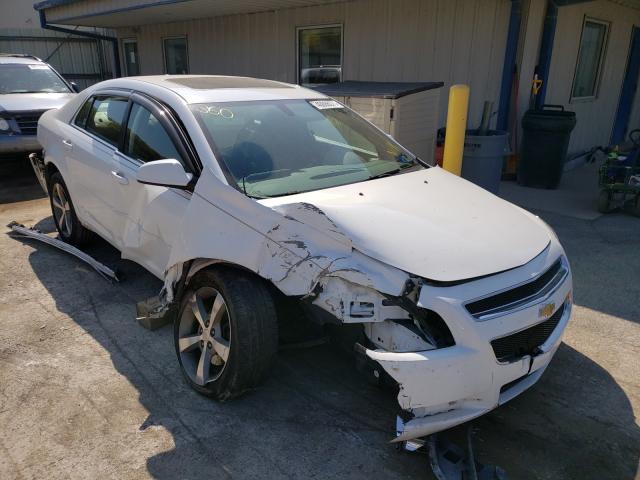 CHEVROLET MALIBU 1LT 2011 1g1zc5e16bf370603